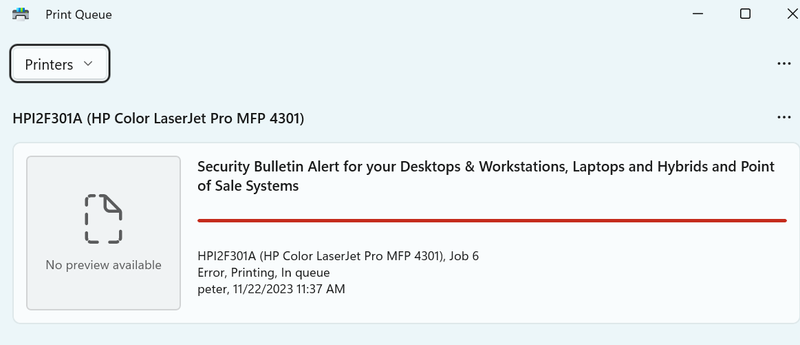 HP 4301dw print error.png