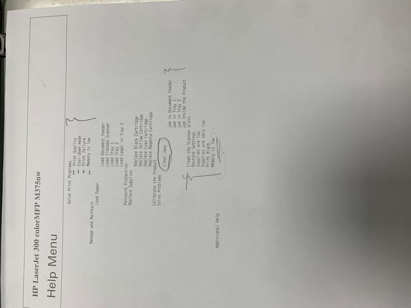 IMG_0206.jpeg