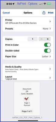 AirPrint_iOS_PDF_Print_Options_1