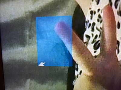 image.jpg