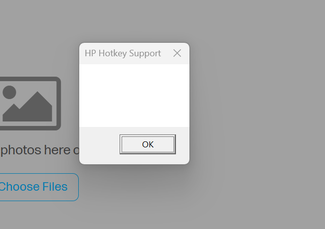 Screenshot 2024-07-08 124515.png