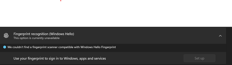 Fingerprint Issue.png
