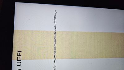 1000031110.jpg
