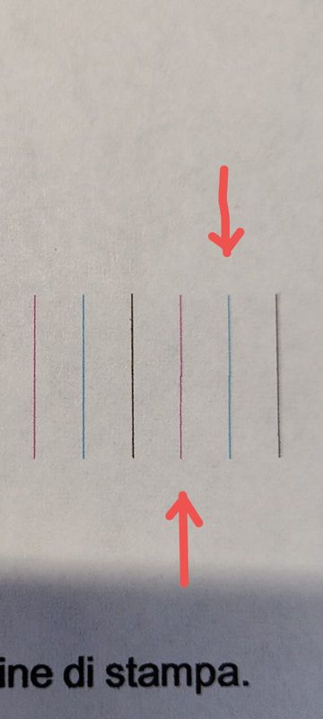 WhatsApp Image 2024-12-18 at 09.40.56.jpeg