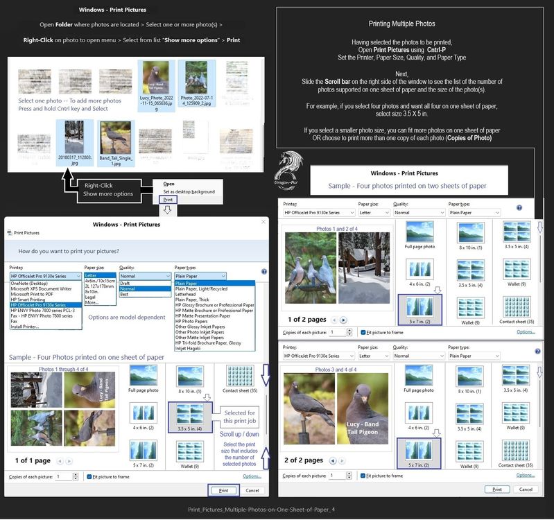 Print_Pictures_Multiple-Photos-on-One-Sheet-of-Paper_4