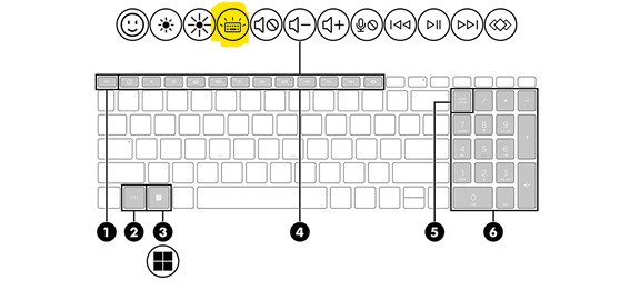 hp notebook 15 keyboard light