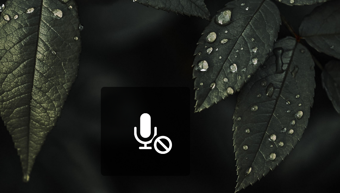 Disable popups for dedicated mic button - HP Support Community - 9507157