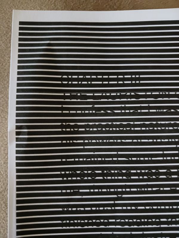 20260714_134910 - black lines close up.jpg