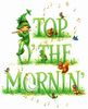 ATT00148 irish.jpg