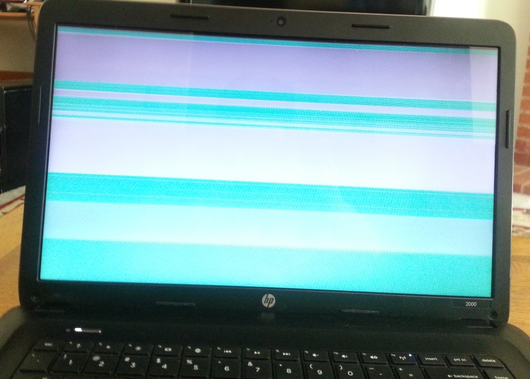 When I Start my Laptop the Screen Just Displays Random Color... HP