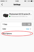 printer options.PNG