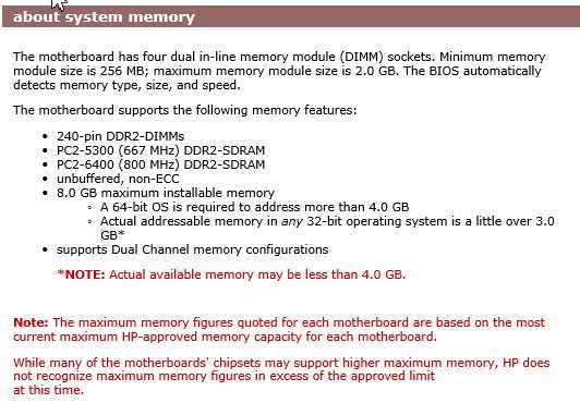 nettle3 memory.jpg